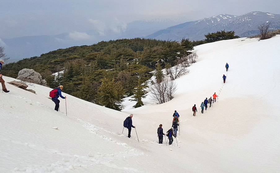 Screenshot-2021-11-23-at-19-40-25-Lebanon-Mountain-Trail