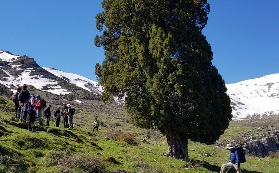 Screenshot-2021-11-23-at-19-38-22-Lebanon-Mountain-Trail