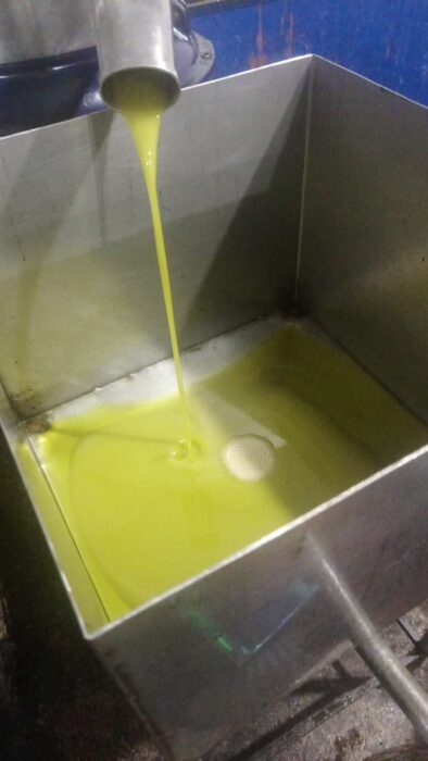 olive-oil-press